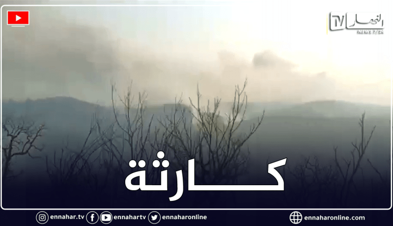 خسائر كبيرة في الثروة الغابية بمنطقة عين بربر بلدية سرايدي .. عملية الاخماد متواصلة لحد الان