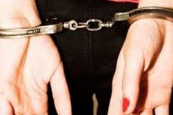 امرأة ضمن عصابة حاولت تهريب أكثر من 3.6 قناطير من “الكيف” في تلمسان