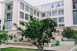 فتح مسابقة للالتحاق بالمدرسة العليا للفنون الجميلة