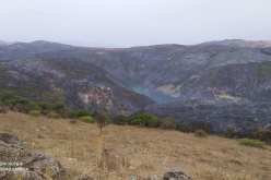 قالمة: إخماد جميع الحرائق المعلن عنها