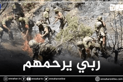 وزارة الدفاع الوطني.. استشهاد 25 عسكريا إثر حرائق غابات تيزي وزو وبجاية