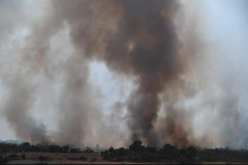 وضعية الحرائق بسوق أهراس.. إندلاع حريقين جديدين