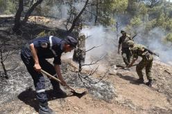 الجيش والحماية يواصلان التدخل بالولايات التي اندلعت فيها الحرائق