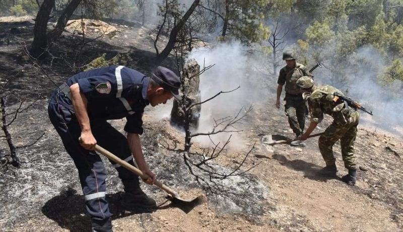 الجيش والحماية يواصلان التدخل بالولايات التي اندلعت فيها الحرائق