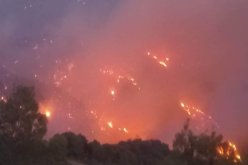 البويرة: تواصل عملية إخماد حريق بغابة زبربر