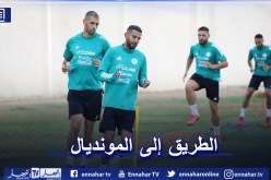 بالصور.. التشكيلة الوطنية تواصل تحضيراتها لمبارتي جيبوتي وبوركينافاسو