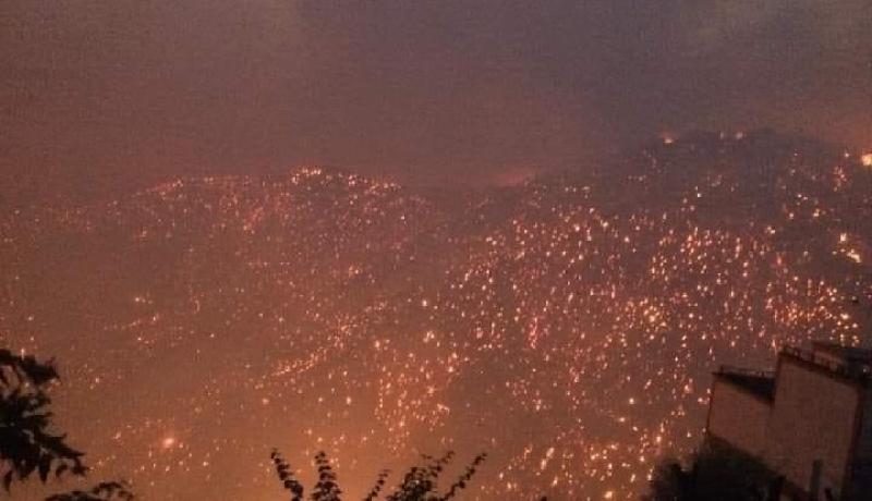 إندلاع حرائق هائلة في 14 ولاية.. وتيزي وزو الأكثر تضررا