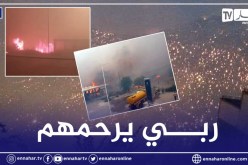 ارتفاع ضحايا حرائق تيزي وزو إلى 5 وفيات