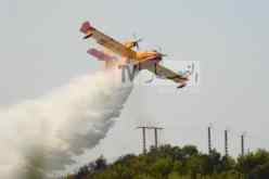 روسيا تعرض على الجزائر مساعدة تقنية في مكافحة الحرائق