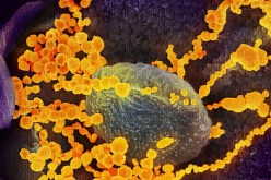 متحور “دلتا+” الشديد العدوى يجتاح كوريا الجنوبية