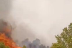  اندلاع حريق بغابة القعدة في فرندة بتيارت