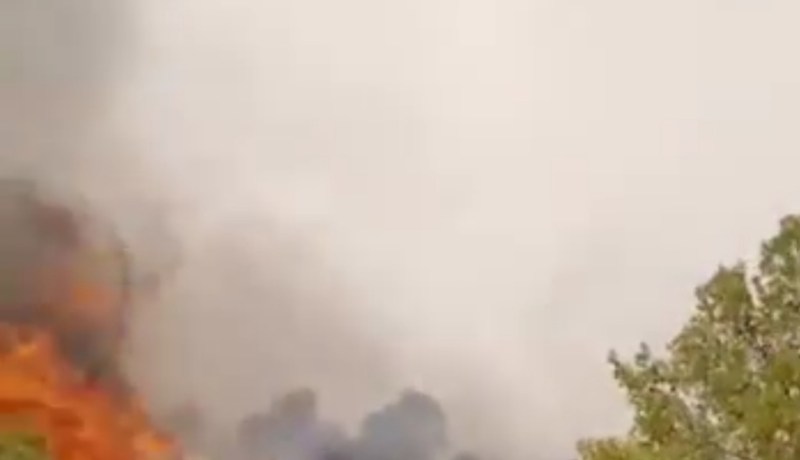 اندلاع حريق بغابة القعدة في فرندة بتيارت
