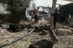 الشلف: إندلاع حريق بمزرعة سي توفيق يحدث حالة طوارئ بأولاد بن عبد القادر