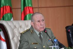 وقف على أخر التطورات الميدانية.. الفريق شنڨريحة يزور الوحدات المشاركة في إطفاء الحرائق بتيزي وزو وبجاية