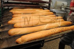 مخبزة تُحضّر الخبز بعلف البهائم.. إيداع صاحب المخبزة الحبس المؤقت