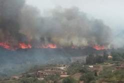 المدية.. القاء القبض على 3 أشخاص مشتبه فيهم اشعال النار بالغابة