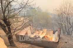 حصيلة حرائق الغابات.. تسجيل 36 حريقا عبر 18 ولاية