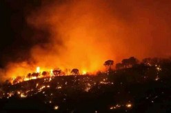 الشلف: الحرائق تتلف 65 هكتارا من الصنوبر الحلبي والأحراش في  24 ساعة