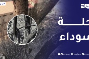 تيزي وزو: “أقبيل” تلبس الرداء الأسود بعد المأ_ساة المر_عبة التي عاشتها جراء الحر_ائق