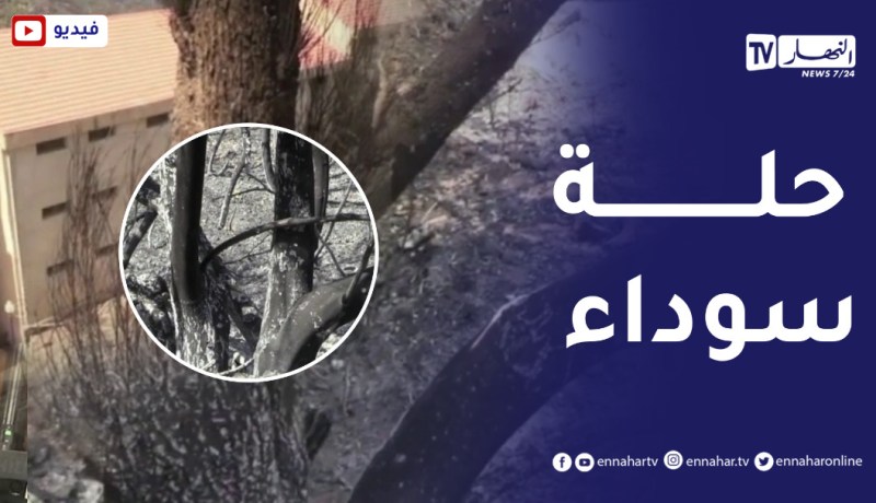 تيزي وزو: “أقبيل” تلبس الرداء الأسود بعد المأ_ساة المر_عبة التي عاشتها جراء الحر_ائق