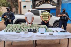 حجز 28 كلغ “زطلة” بالبيض