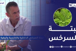 الصيف يحلى معنا/ نبتة السرخس الداخلية والخارجية وكيفية الإعتناء بها
