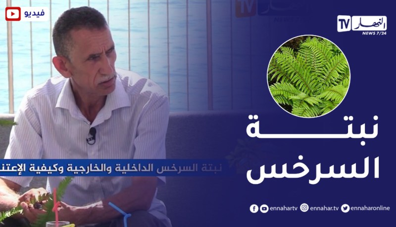 الصيف يحلى معنا/ نبتة السرخس الداخلية والخارجية وكيفية الإعتناء بها