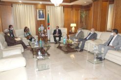 عرقاب يؤكد على أهمية تجسيد مشروع خط أنبوب الغاز العابر للصحراء نحو أوروبا