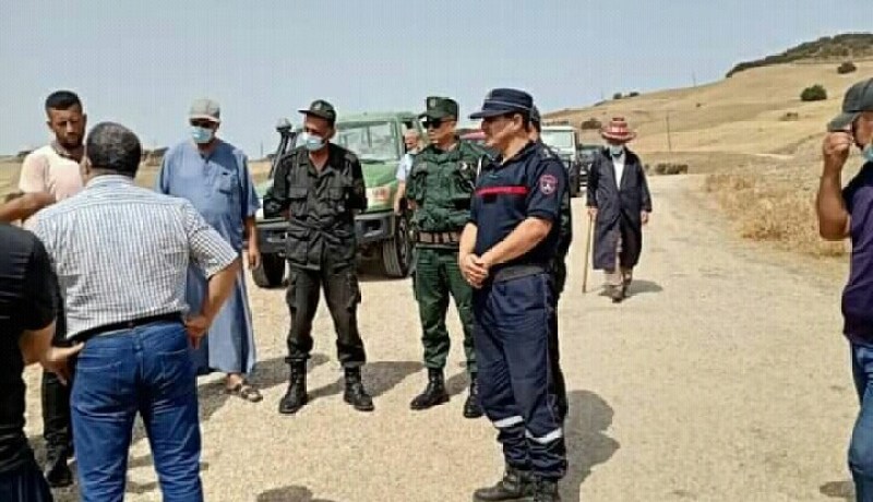 الشلف: تنظيم حملة تحسيسية للوقاية من حرائق الغابات بأبو الحسن