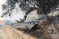 التماس الإعدام لسبعيني لضلوعه في حرائق “بوشوالي” بتيزي وزو