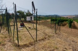 جزيرة إيطالية تسجل أعلى درجة حرارة في تاريخ أوروبا