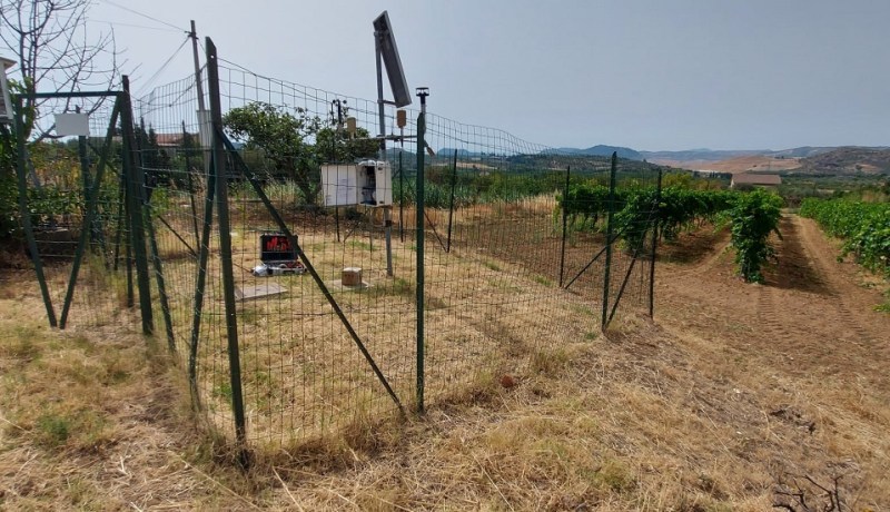 جزيرة إيطالية تسجل أعلى درجة حرارة في تاريخ أوروبا