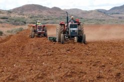 وزارة الفلاحة: التحضير الإستباقي لحملة الحرث والبذر لموسم 2021/2022