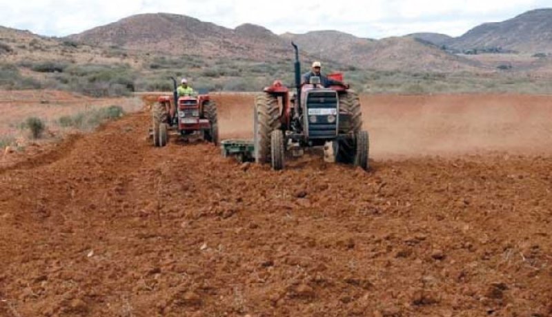 وزارة الفلاحة: التحضير الإستباقي لحملة الحرث والبذر لموسم 2021/2022