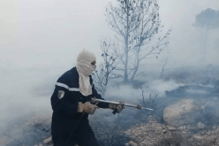 تواصل جهود إخماد حريق غابة جبل الميزاب بتبسة