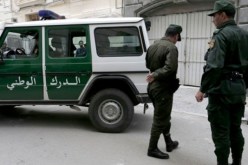 توقيف شخص متورط في حرق غابة بالطارف