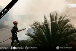 الطارف: السيطرة على معظم الحرائق المشتعلة