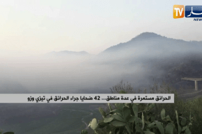 ألسنة اللهب مستمرة في عدة مناطق 42 ضحية جراء الحرائق في تيزي وزو