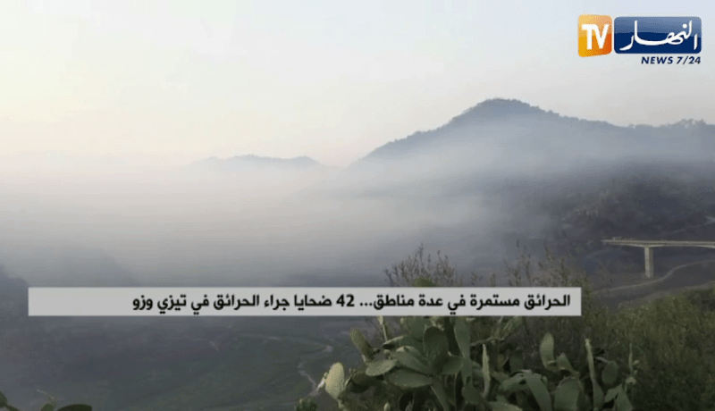 ألسنة اللهب مستمرة في عدة مناطق 42 ضحية جراء الحرائق في تيزي وزو