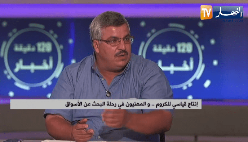 إنتاج قياسي للكروم.. والمهنيون في رحلة البحث عن الأسواق