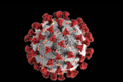 شديد الخطورة ويستهدف الأطفال.. تحذيرات من متحور “دلتا+”