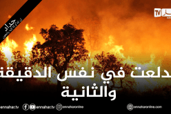 الوزير الأوّل: أدلة علمية أثبتت أن الحرائق كانت بفعل فاعل وفي مناطق مدروسة