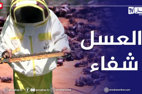 الصيف يحلى معنا: العسل الحر..طريقة إنتاجه و كيفية التفريق بينه و بين المغشوش