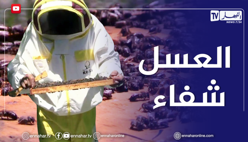 الصيف يحلى معنا: العسل الحر..طريقة إنتاجه و كيفية التفريق بينه و بين المغشوش