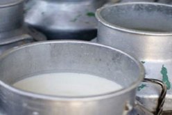 البليدة: منع تحضير وبيع مادتي اللبن والرائب والعسل شهري أوت وسبتمبر