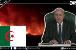 رئيس الجمهورية عبد المجيد تبون يتوجه بكلمة للأمة خاصة بالحرائق التي مسّت مختلف ولايات الوطن