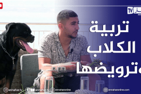 الصيف يحلى معانا/ تربية وترويض الكلاب مع مختصين