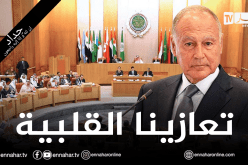 الأمين العام للجامعة العربية والبرلمان العربي يعزيان الجزائر في ضحايا حرائق الغابات