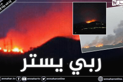 الشلف: إندلاع حريق مهول بغابة زرقة ببلدية تاجنة