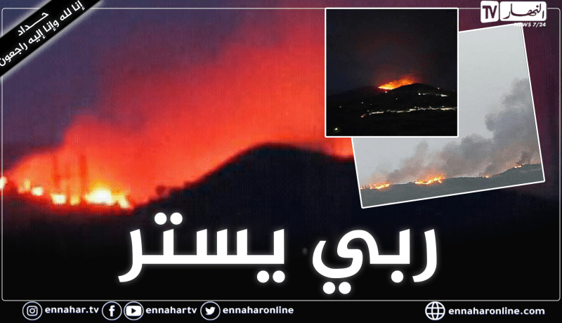 الشلف: إندلاع حريق مهول بغابة زرقة ببلدية تاجنة